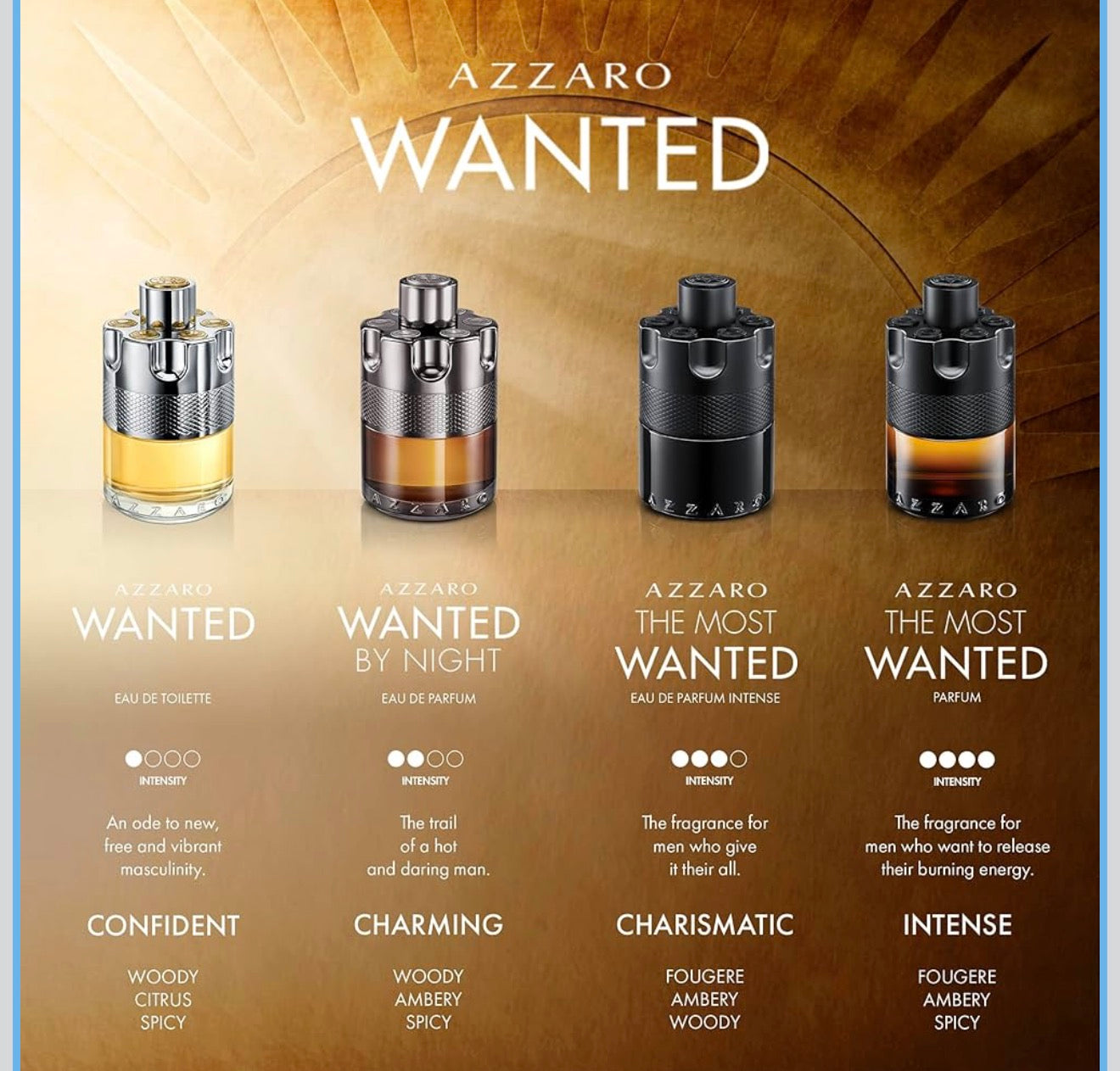 Azzaro Wanted Eau de Toilette (100ml / 3.3 fl oz)